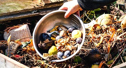 Lessive de Cendre utile au compost