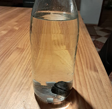 Charbon Actif Binchotan Kishu