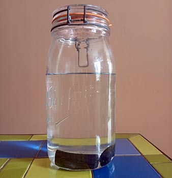 Charbon Actif Binchotan Kishu