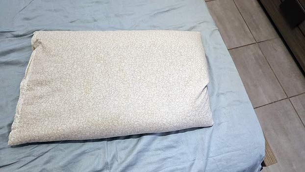 L'Oreiller épeautre de Ma VIe Eco