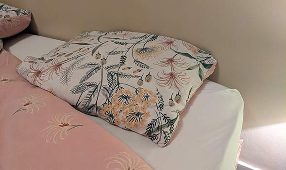 L'Oreiller épeautre de Ma VIe Eco