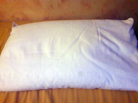 L'Oreiller Millet de Ma Vie Éco 