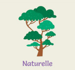 Une Lessive naturelle