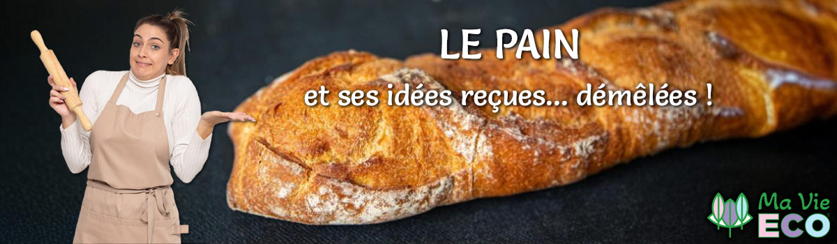 Les enquêtes