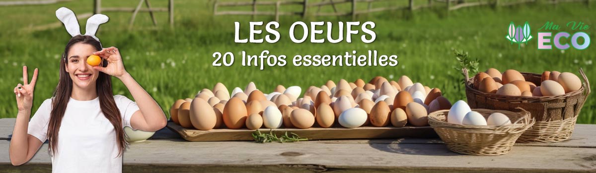 Les enquêtes