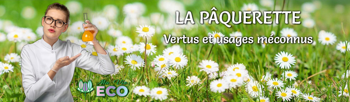 Les enquêtes